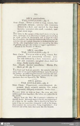 Arca pulchra. Tab. CCCCLXXIII. - fig. 3