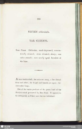 Pecten orbicularis. Tab. CLXXXVI