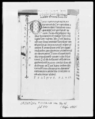 Psalterium cum Canticis — Initiale D (ixit insipiens) mit Randausläufer, Folio 41verso