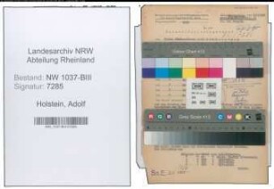 Entnazifizierung Adolf Holstein , geb. 06.01.1904 (Techn.Inspektor)