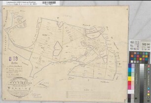 Marbeck (Borken), Gemeinheit Wirthe, Wirther Feld, Lage, Tushaus Heide, Bodarbsche Heide, Teilung der Butenwirther Mark, Bl.5 Brouillonkarte Flur IX Wanzing