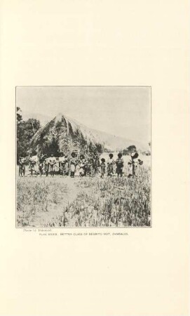 Plate XXXIX. Better class of Negrito hut, Zambales