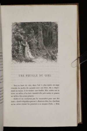 Une Feuille Du Ciel