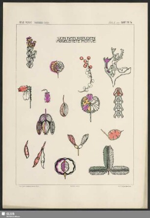 Von Naturstudien abgeleitete Motive