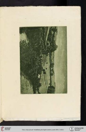 [Theodor and Oscar Hofmeister, III. Meadow-Brook, photogravure from original gum print]