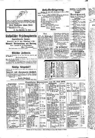Pfälzer Zeitung. 1876, [2] = Juli - Dez