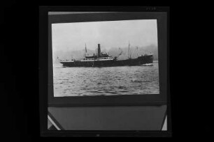 Adriana ex Celia (1906), Kirsten