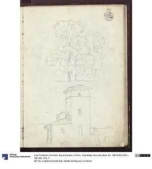 Baumstudien & Rom. Villa Malta. Ansicht