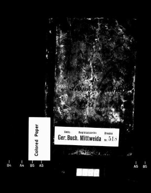 Gerichtshandelsbuch von Rößgen und Kockisch, Bd. 1