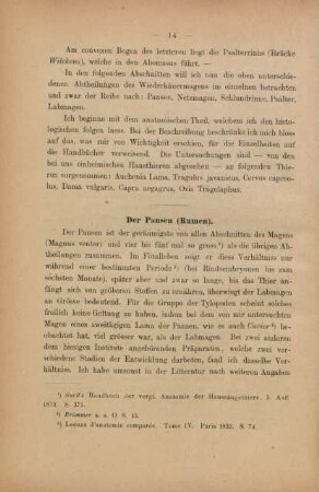 Der Pansen (Rumen)