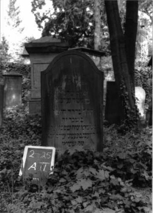 Grabstein A II/2/25