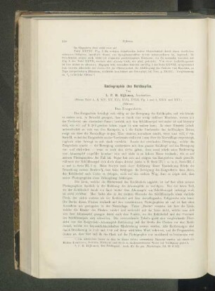 Radiographie des Kehlkopfes.