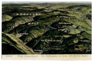 Serie Nr. 64/1: Westl. Kriegsschaupl.: Die Erstürmung der Höhe 285 La fille morte.