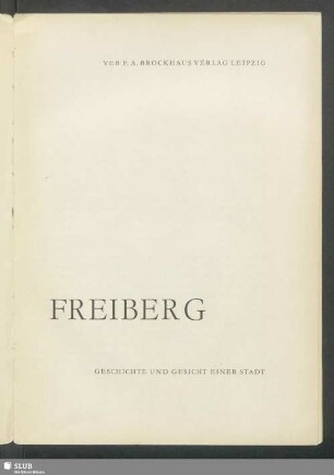 Freiberg : Geschichte und Gesicht einer Stadt