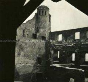 Schlossruine Krzyżackiego in Golubiu-Dobrzyniu