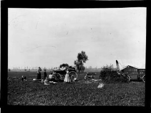 Picknick oder Vesperpause auf einer Wiese