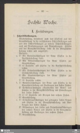Sechste Woche