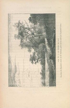Fig. 61. - Le champ de blé
