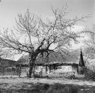 Spreewald. Historisches Wohnhaus
