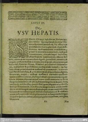 Caput XV. De Usu Hepatitis
