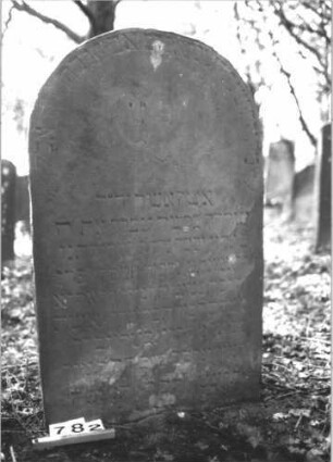 Grabstein 782 (Index: 99900331) Material: Sandstein Zustand: unten stark verwittert, Abblätterungen Maße HxBxT: 125x72x10 cm Beschreibung: Stele mit Rundbogenabschluss, im Bogenfeld gekreuzte Zweige Symbolik: gekreuzte Zweige: Grabstein 782