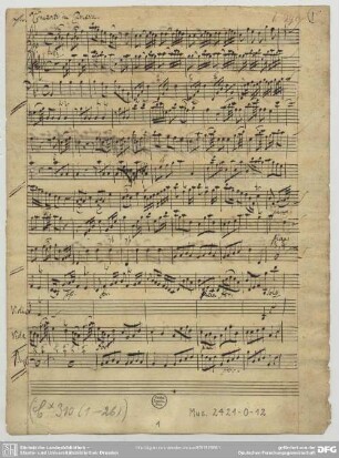 Concertos - Mus.2421-O-12 : vl, strings, bc - B|b
