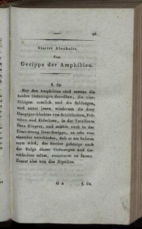 Vierter Abschnitt. Vom Gerippe der Amphibien