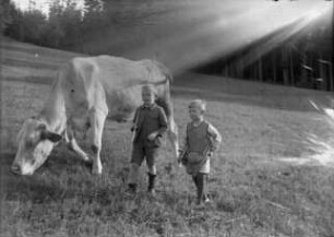 Kinder beim Kühe hüten