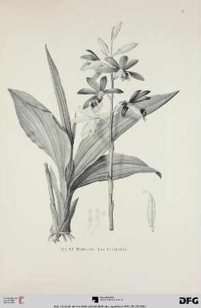 Tafel I-XVI