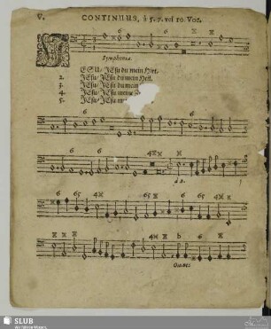 V. Jesu du mein Hirt