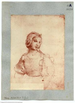 "Libretto di Raffaello", Bildnis einer jungen Frau