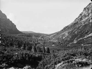 Trümmertal : Blick durch die Berge von Zlomiská, Talabwärts.