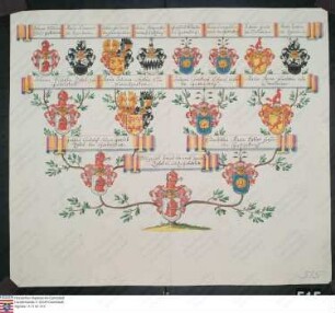 Ahnenprobe des Philipp Carl Joseph Heinrich Igantius Zobel v. u. z. Giebelstadt. - ausgefertigt 1755 Juli 28, Pergament