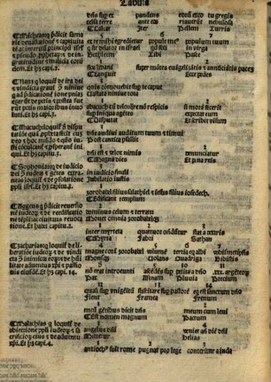 Biblia cum concordantijs veteris [et] noui testame[n]ti [et] sacroru[m] canonum ...