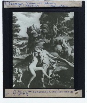 Spranger, Venus und Adonis (Amsterdam RM SK-A-3888)