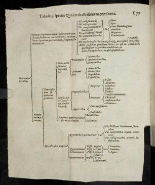 Tabula 2. specie Qualitatis divisionem continens.