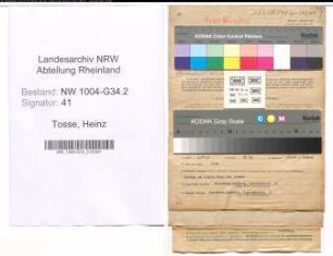 Entnazifizierung Heinz Tosse , geb. 21.03.1899 (Apotheker)