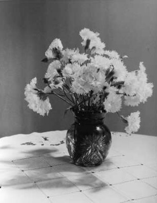 Blumen und Blüten in diversen Vasen. Nelkenstrauß in bauchiger Vase