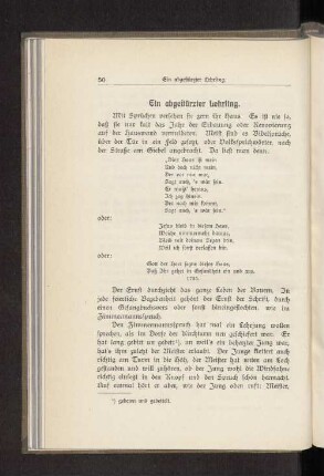 Ein abgestürzter Lehrling.