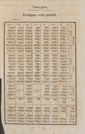 Tabula prima. Paradigma verbi perfecti.