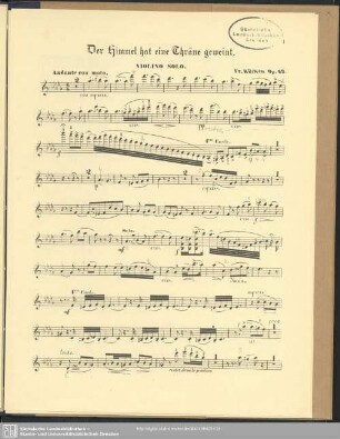 Violino solo.