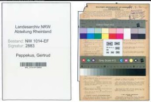 Entnazifizierung Gertrud Peppekus , geb. 07.03.1905 (Gastwirtin)
