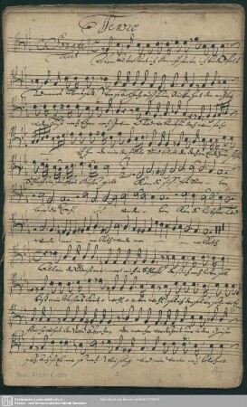 Tenore [solo und coro]