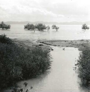 Burma (Birma). Bucht von Akyab mit einmündendem Bach bei Flut