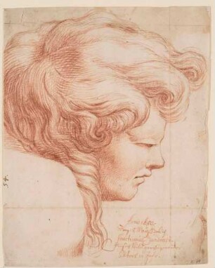 Kopf eines jungen Mannes im Profil (nach einer Figur in Raffaels Fresko "Schule von Athen" in der Stanza della Segnatura im Vatikan; recto)