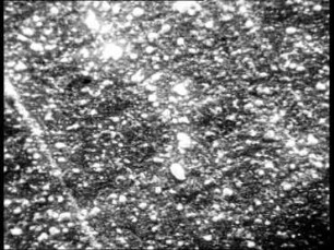Kristallwachstum - Wachstum von Zinn-Whiskern im Raster-Elektronenmikroskop
