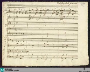 Caio Mario. Excerpts - Mus. Hs. 222 : S, orch
