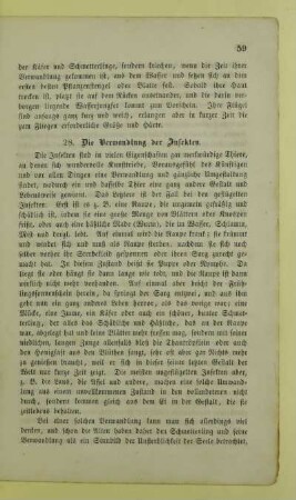 28. Die Verwandlung der Insekten