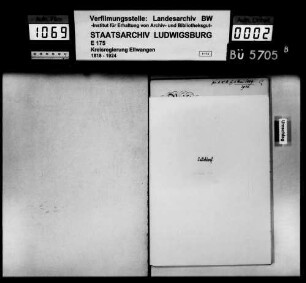 Auswanderungen, Satteldorf mit Teilgemeinden Beuerlbach, Burleswagen und Neidenfels