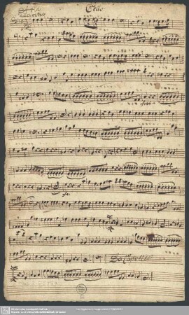 Cello.